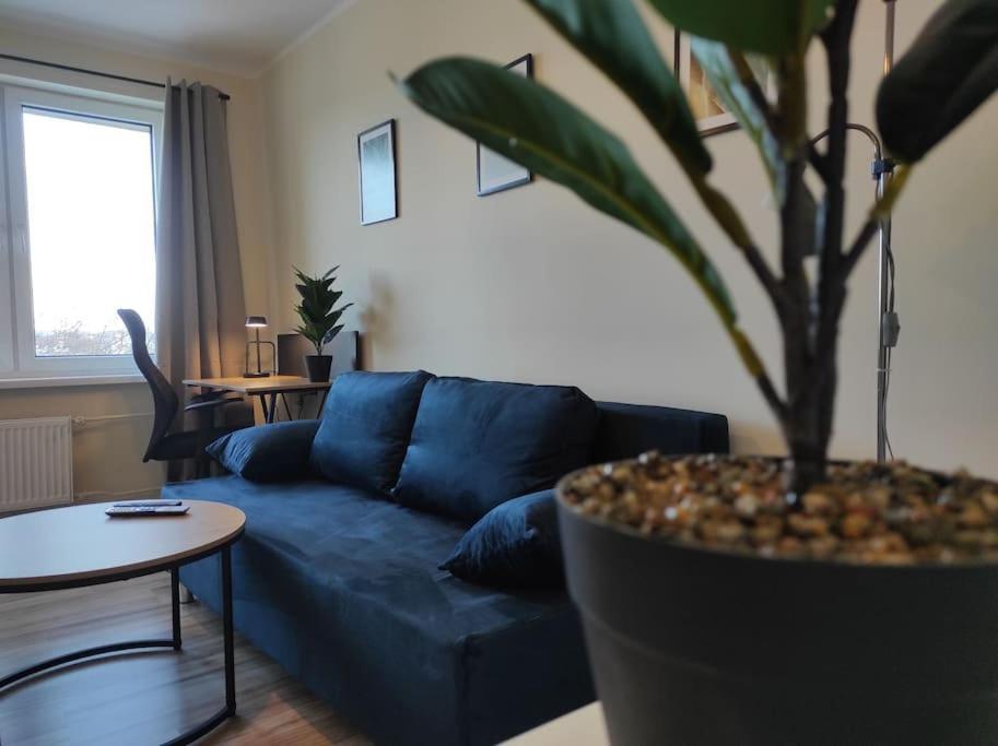 ***Santorini Apartament*** - 40M² ✓ Rybnik  Ngoại thất bức ảnh